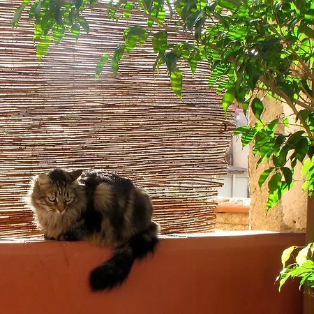 Poblenou Bed and Breakfast