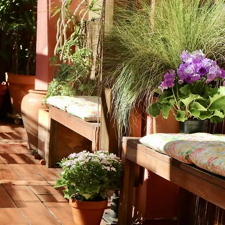 Poblenou Bed and Breakfast Βαρκελώνη