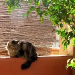 Poblenou Oda ve Kahvaltı