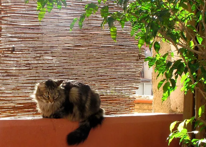 Poblenou Oda ve Kahvaltı